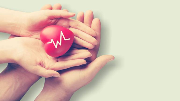 जीवन बीमा कंपनियों को मिल सकती है मेडिक्लेम बेचने की अनुमति! इरडा ने समिति गठित की