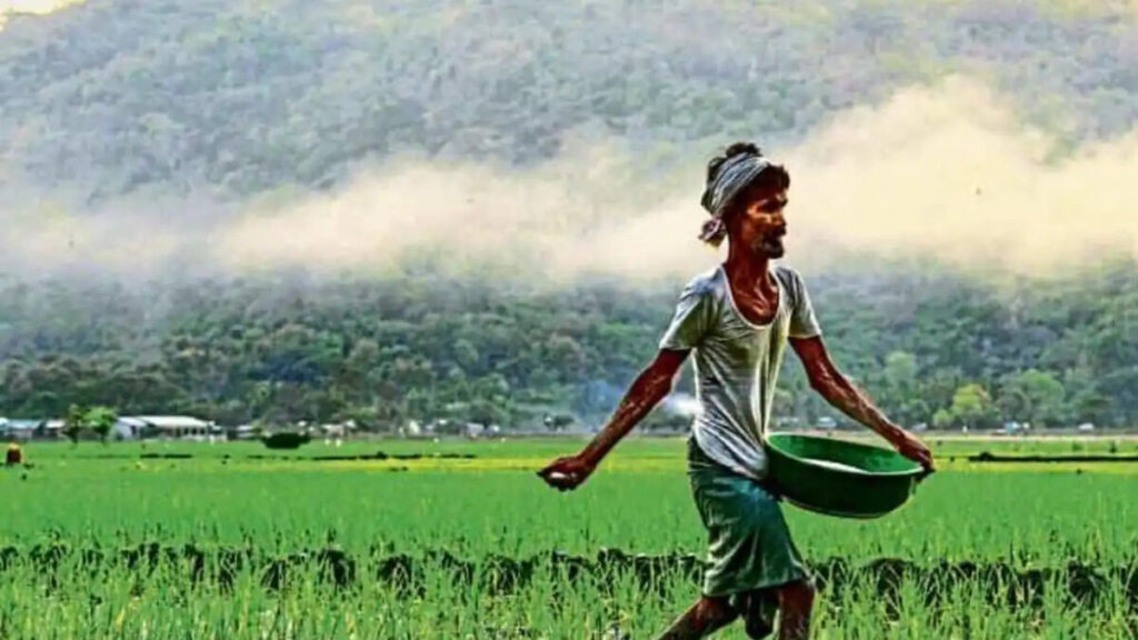 fertiliser